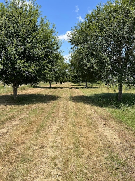 6998 Neiman Rd, Brookshire, TX 77423