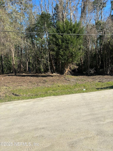 104 Bowfin Dr, Palatka, FL 32177