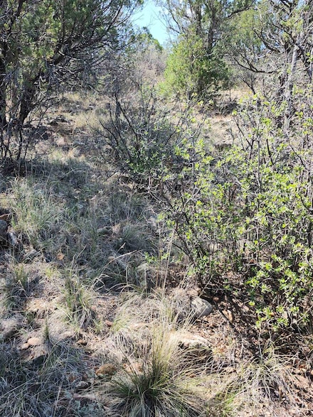 0 Electrum Cir Unit 11 169676, Timberon, NM 88350