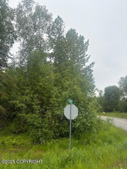 L11 B2 N Gaunt Dr, Houston, AK 99694