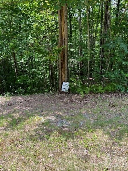 78 Peppervine Cir Unit 78, Rosman, NC 28772