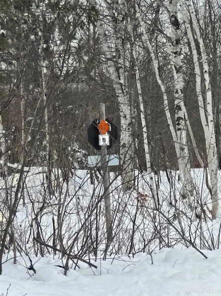 TBD Electric Park Rd, Calumet, MI 49913