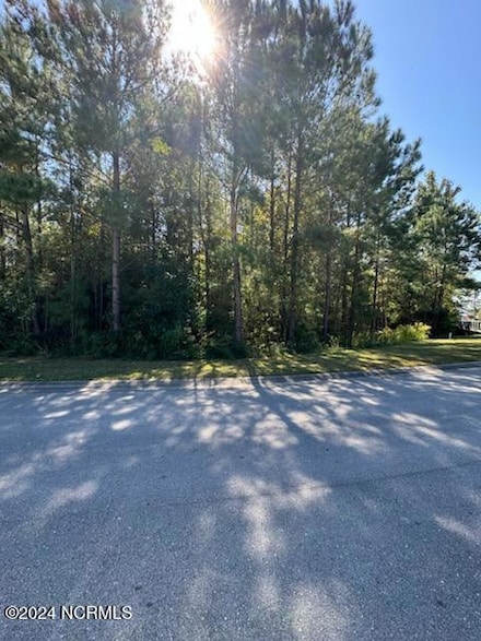 271 Twining Rose Ln, Holly Ridge, NC 28445