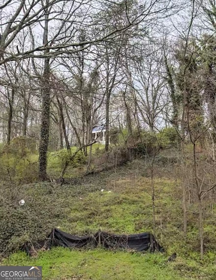 2459 Macon Dr SW, Atlanta, GA 30315
