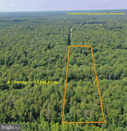 Lot 1 - Wards Forest Ave, Beaverdam, VA 23015