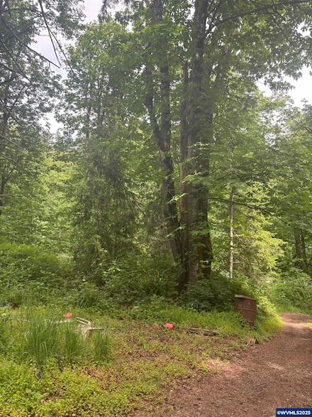 4360 Silver Falls Dr NE, Silverton, OR 97381