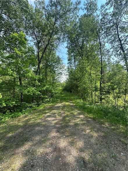 31.54 Acres Timber Wolf Dr, Hayward, WI 54843