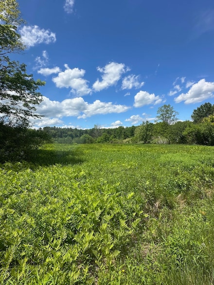 123 U S 5, Westminster, VT 05158