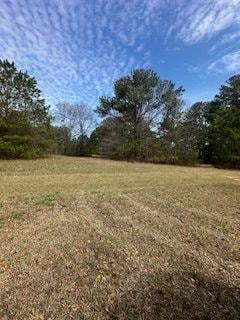 0 Frashier Rd Unit 7549781, Carrollton, GA 30116