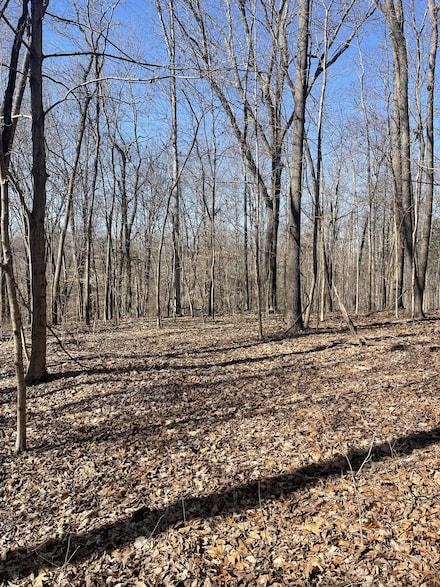 165 Pleasant Hill Rd, Lafayette, TN 37083