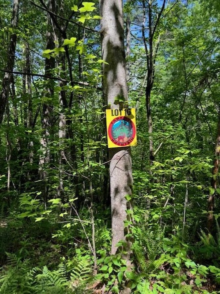 Lot 16 Paradise Mountain, Marble, NC 28905