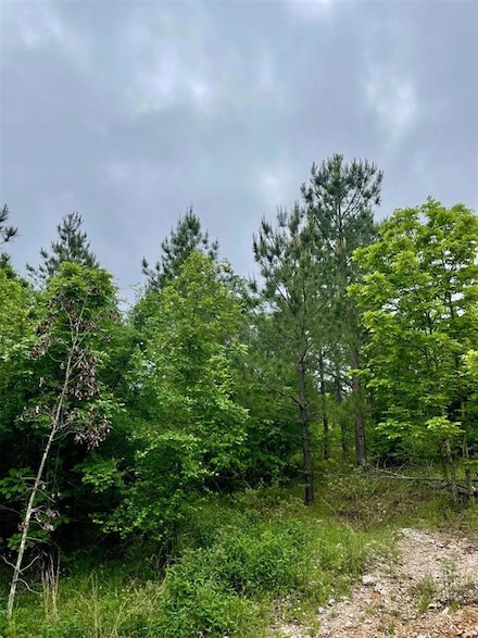 662 Timber Creek Trails South Xl, Broken Bow, OK 74728