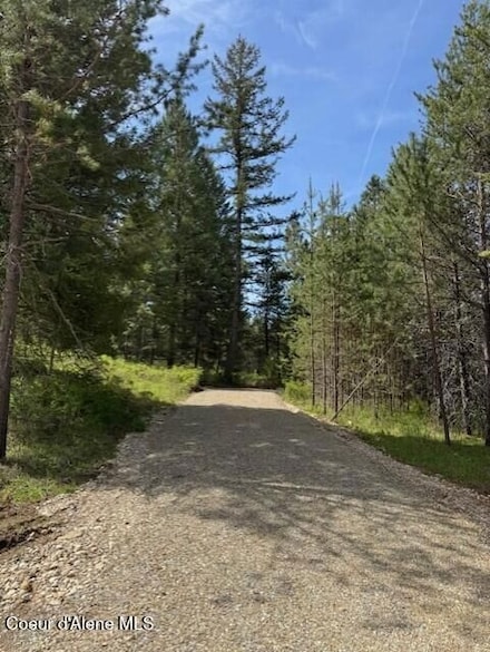 Lot 2 Nka Daytona Dr, Priest River, ID 83856