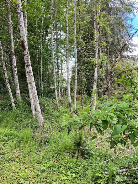 16024 Low Ln, Glacier, WA 98244