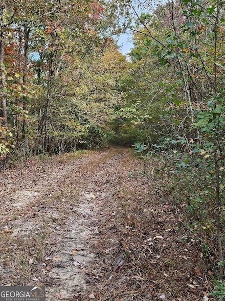 0 Fruit Farm Rd Unit 10434266, Summerville, GA 30747