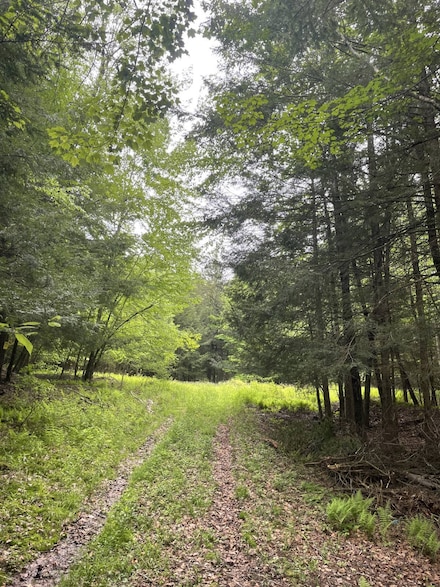 39 Birch Ln, Swan Lake, NY 12783