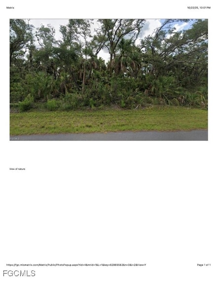 1607 Louis Ave, Lehigh Acres, FL 33972