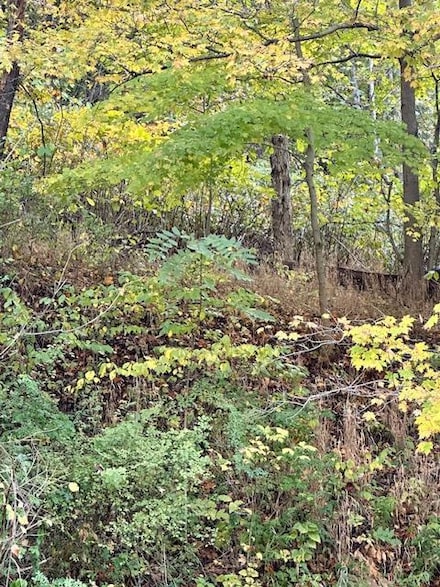 0 Cherry Hill Rd, Wheeling, WV 26003