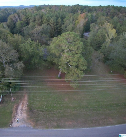 0000 Providence Rd, Waldo, AL 35160