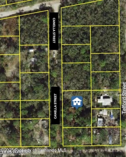 00 Canella St, Moon Lake, FL 34654