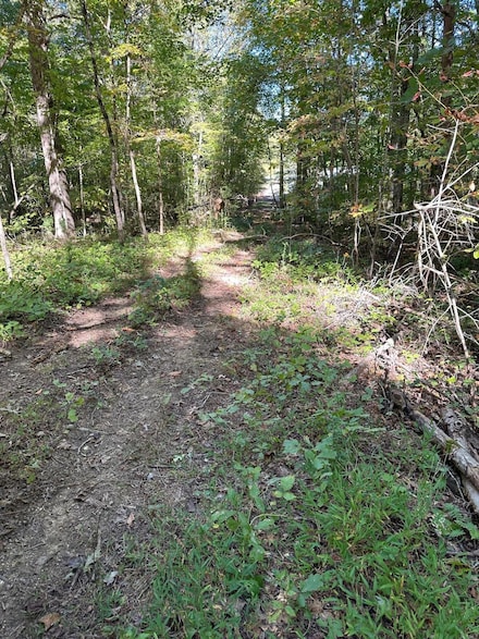Lot 351 Diana Dr, Spring City, TN 37381