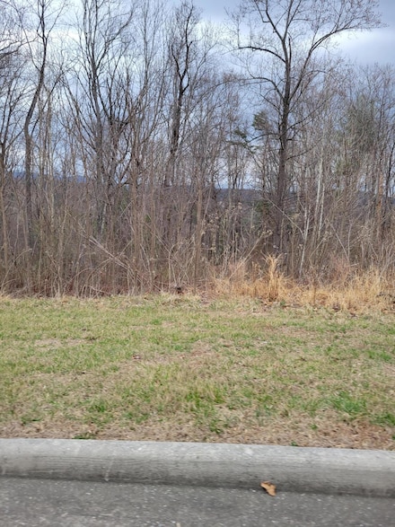 7230 Nandina Dr, Roanoke, VA 24018