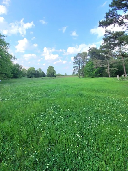 000 Jackson 6, Pleasant Plains, AR 72568