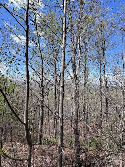 0 High Pines Loop Unit 158 CAR4243200, Lake Lure, NC 28746