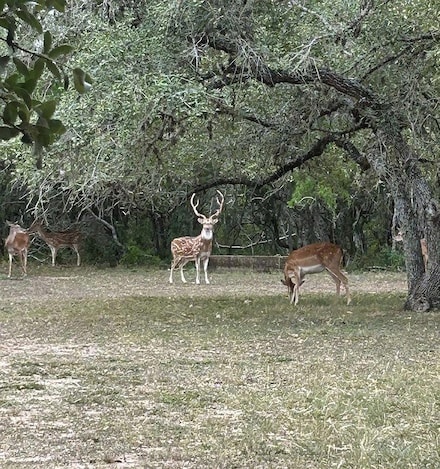 305 County Road 305, Beeville, TX 78102
