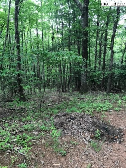 Lot 48 White Tail Rd, West Jefferson, NC 28694