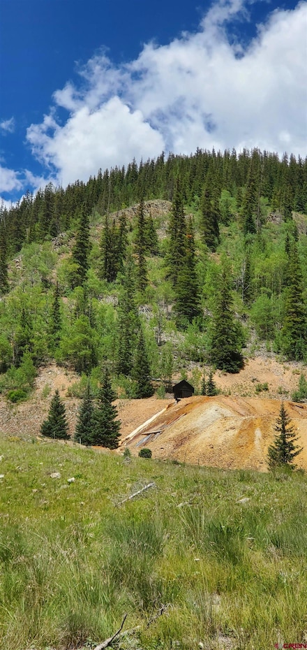 TBD Cr 110 Dooley, Silverton, CO 81433