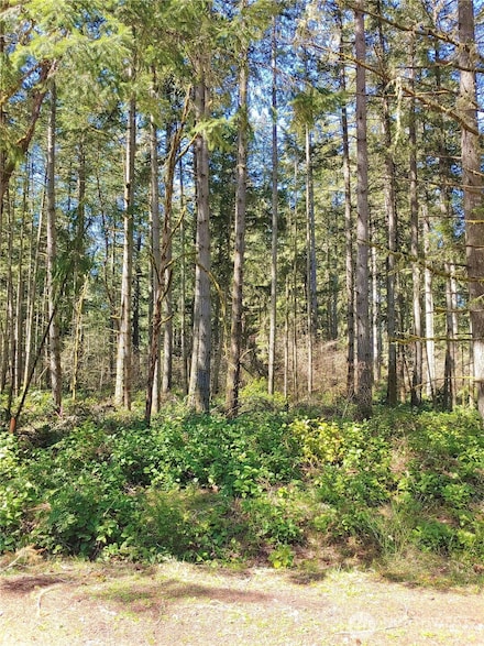 11813 Country Club Dr, Anderson Island, WA 98303