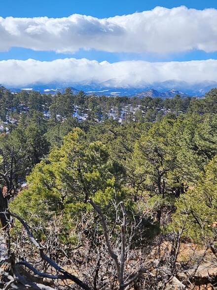 1113 43rd Trail, Cotopaxi, CO 81223