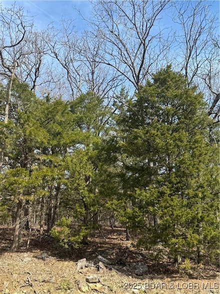 Lot 67 Regency Cove Dr, Village of Four Seasons, MO 65049