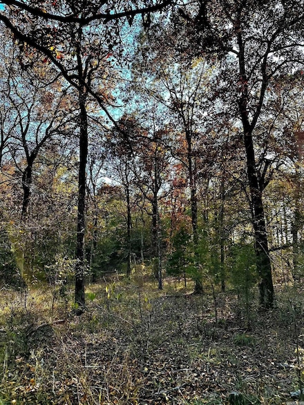 Tract 2 Tbd Polk 31, Cove, AR 71937