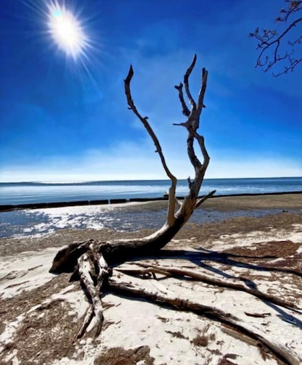 5 Indian Mound Dr, Eastpoint, FL 32328