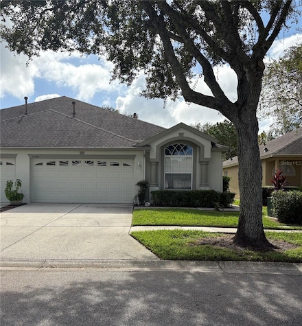 19436 Haskell Place, Land O Lakes, FL 34638