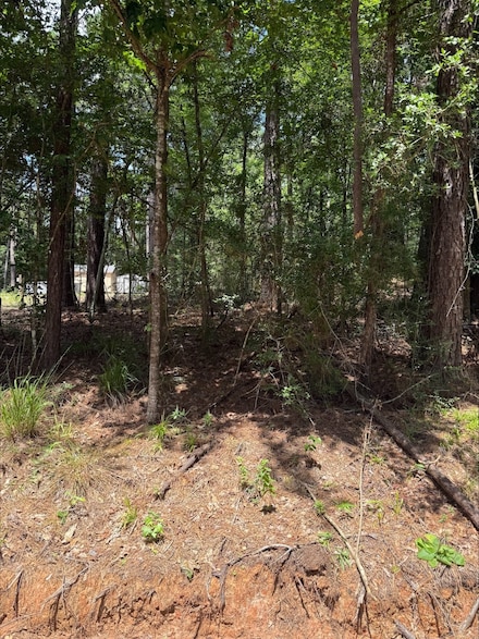 0 Non-Such Rd, Livingston, TX 77351