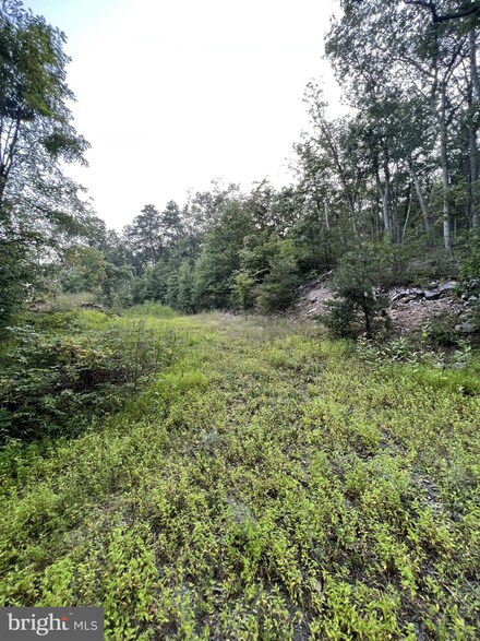 1137 Tomahawk Trail, Winchester, VA 22602