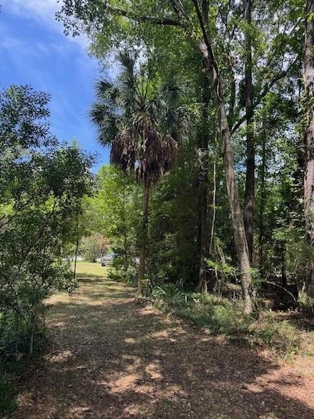 TBD Rutledge Dr, Eutawville, SC 29048
