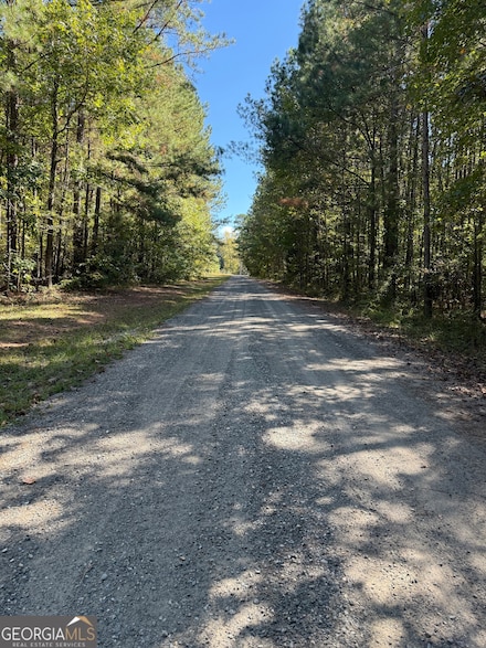 183 Deer Ln, Forsyth, GA 31029