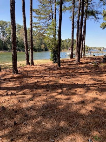 000 Bussel Point Rd, Wicomico Church, VA 22579