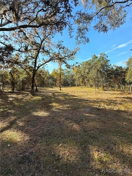 2384 S Columbine Ave, Homosassa Springs, FL 34448