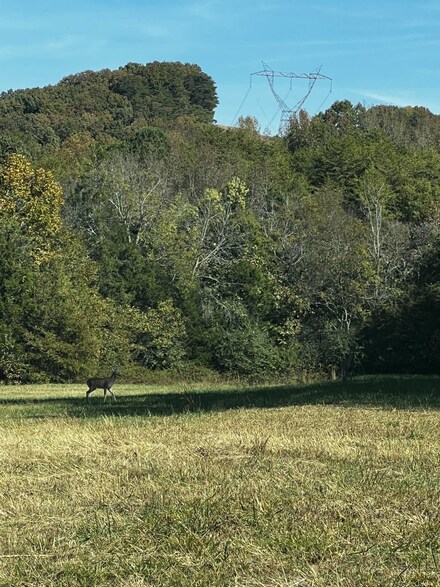 6529 Bailey Ln, Powells Crossroads, TN 37397