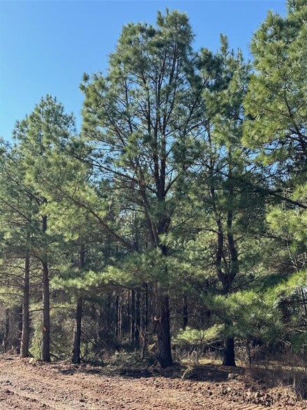 0 Lukfata Fork Trail, Hochatown, OK 74728