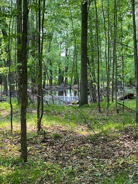 3793 County Ee, Fish Creek, WI 54212