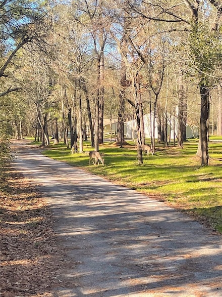 83 Dahlia Rd, Huntsville, TX 77320