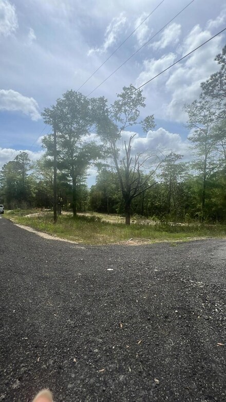 1.94 acres Lakewood Dr, Defuniak Springs, FL 32435