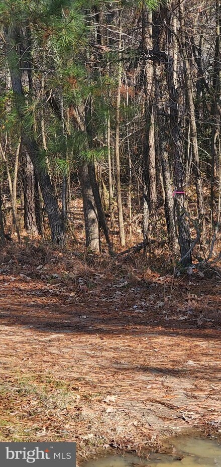 Lot #11 14th St Estates, Colonial Beach, VA 22443