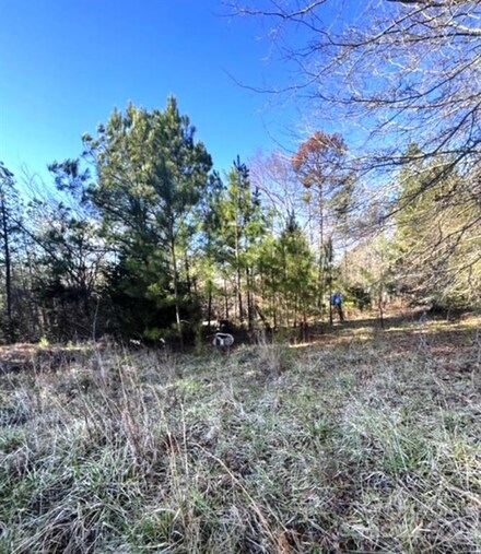 1248 Ridgeview Rd, Chester, SC 29706